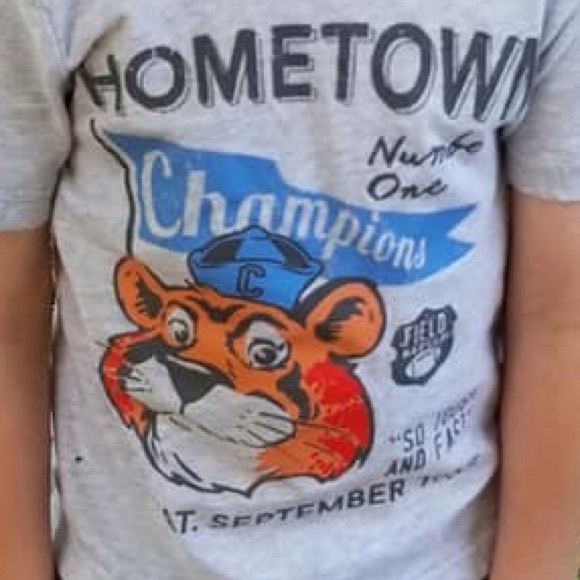 Toddler shirt tiger hometown champs 3T gray shirt - Picture 3 of 3